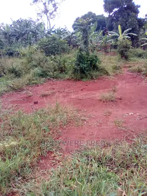 100x50ft Plot for Sale Ta Only 15000000 Shillings