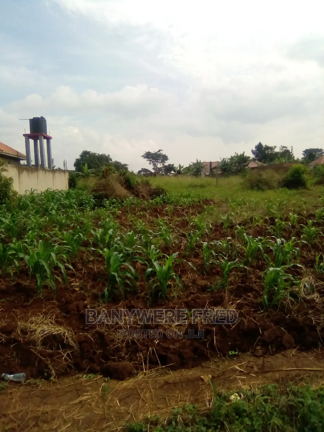 100x100ft for Sale at Kimwani