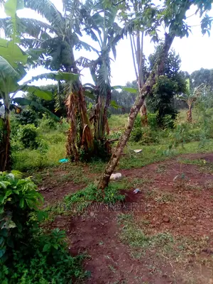 50x100ft With Aland Tittle for Sale Nakwero