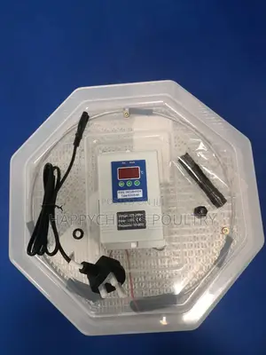 60 Egg Incubator