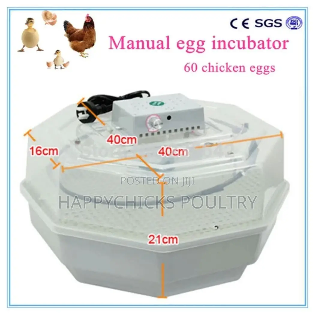 60 Egg Incubator