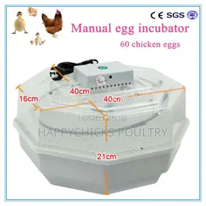 60 Egg Incubator
