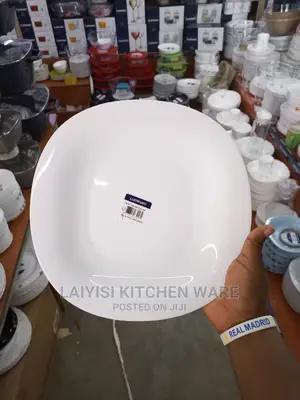 Adozen of Original Luminac Dinner Plate