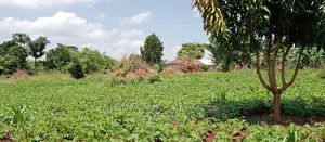 1acre Is Available for Sale in Busika