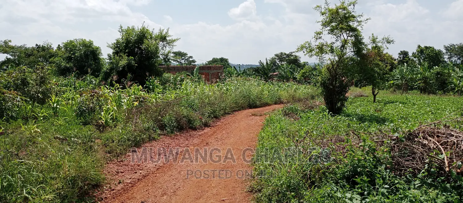 1acre Is Available for Sale in Busika
