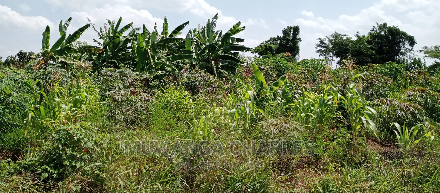 1acre Is Available for Sale in Busika