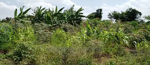 1acre Is Available for Sale in Busika