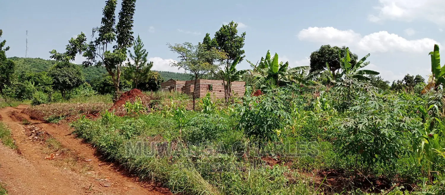 1acre Is Available for Sale in Busika