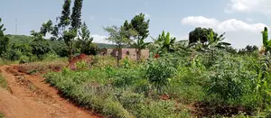 1acre Is Available for Sale in Busika