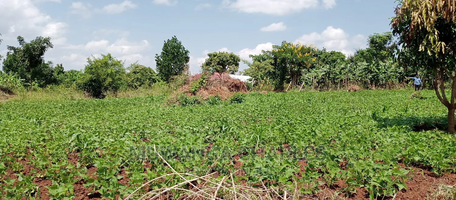 1acre Is Available for Sale in Busika