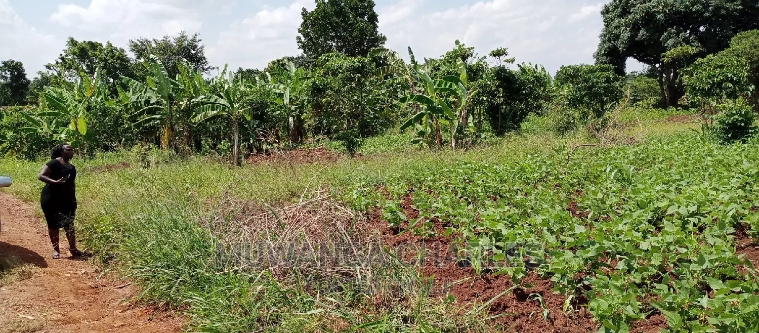 1acre Is Available for Sale in Busika