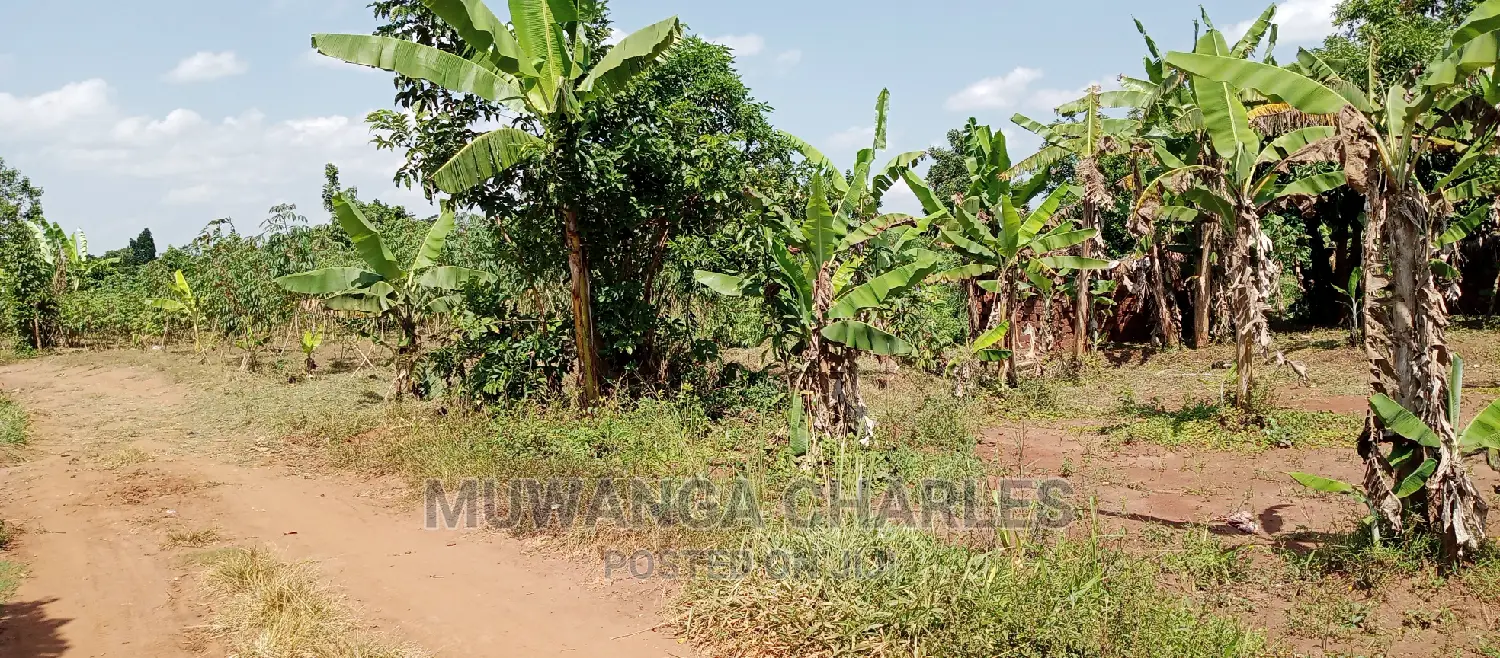2acres Is Available for Sale in Busika Kalagala