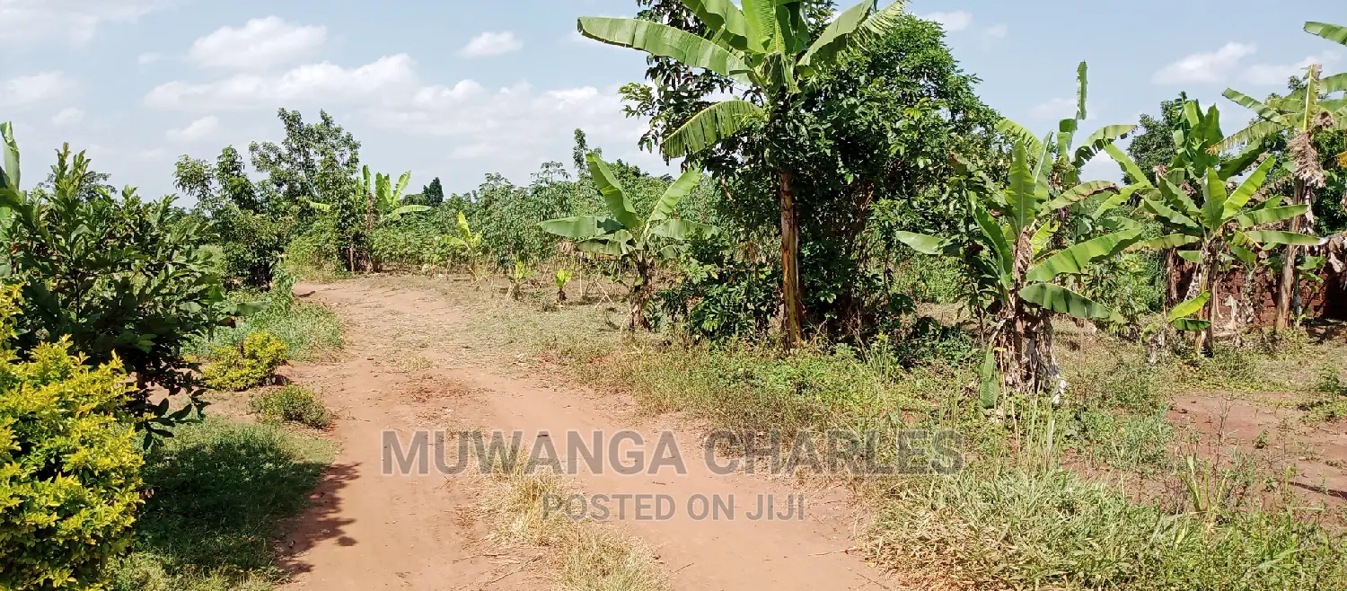 2acres Is Available for Sale in Busika Kalagala