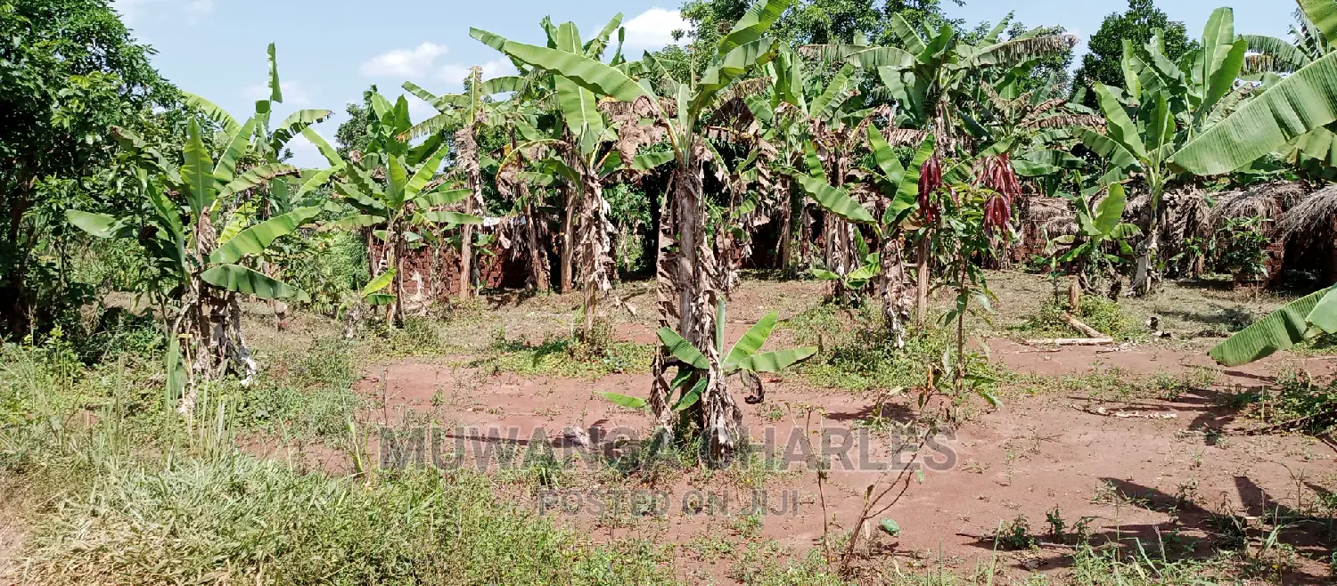 2acres Is Available for Sale in Busika Kalagala