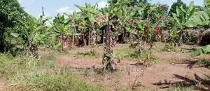 2acres Is Available for Sale in Busika Kalagala