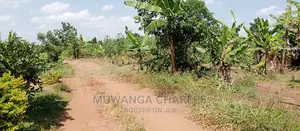 2acres Is Available for Sale in Busika Kalagala