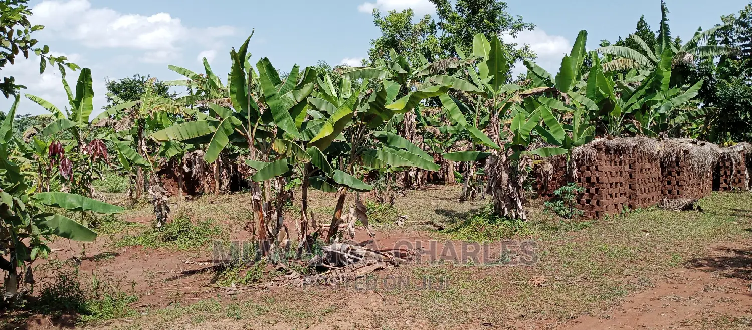 2acres Is Available for Sale in Busika Kalagala