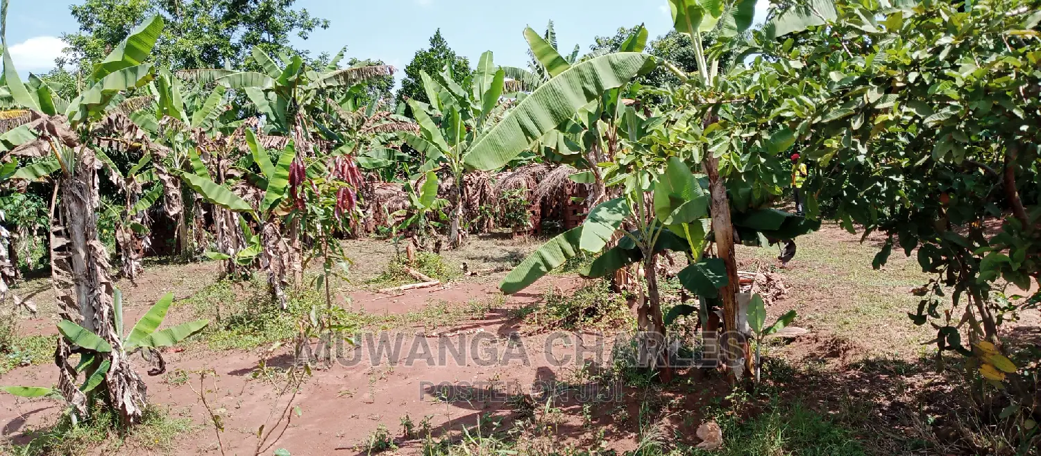 2acres Is Available for Sale in Busika Kalagala