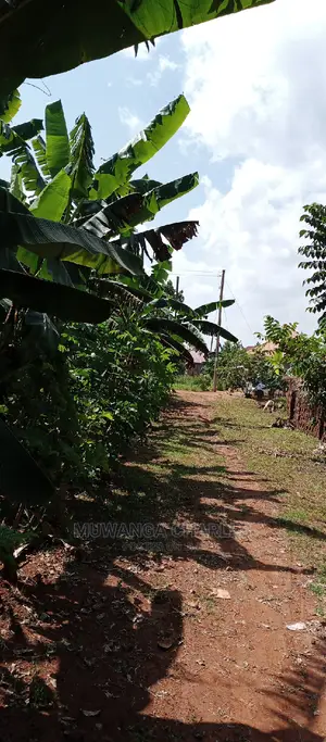 1acre Is of Land Available for Sale in Busika