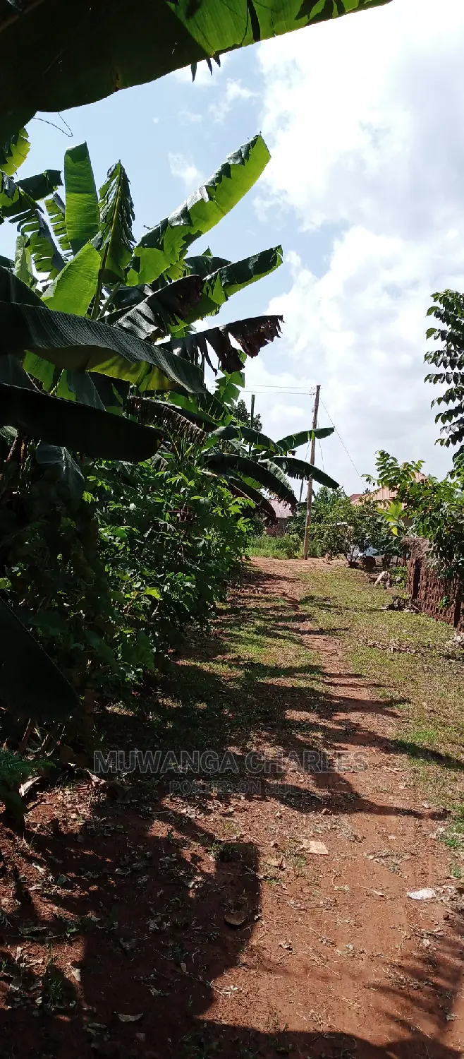 1acre Is of Land Available for Sale in Busika