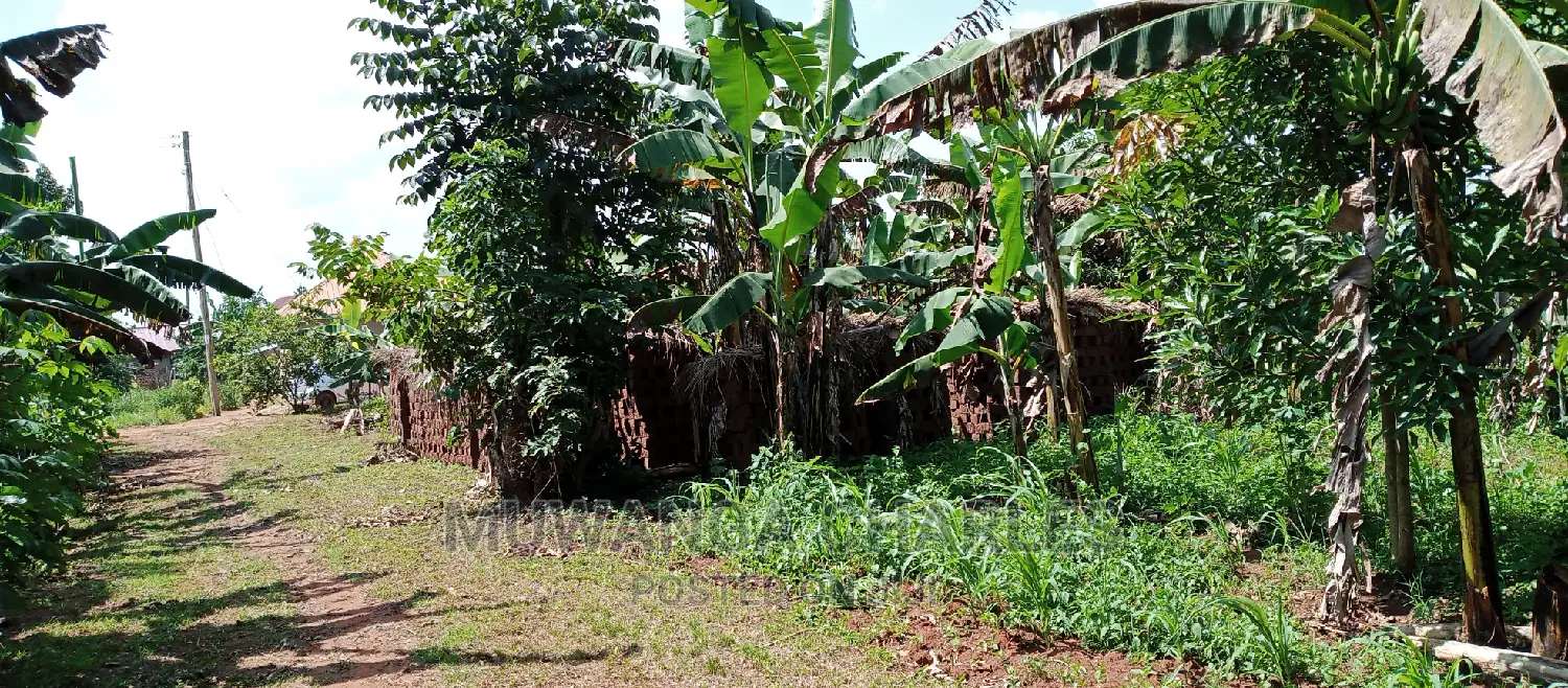1acre Is of Land Available for Sale in Busika