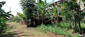1acre Is of Land Available for Sale in Busika