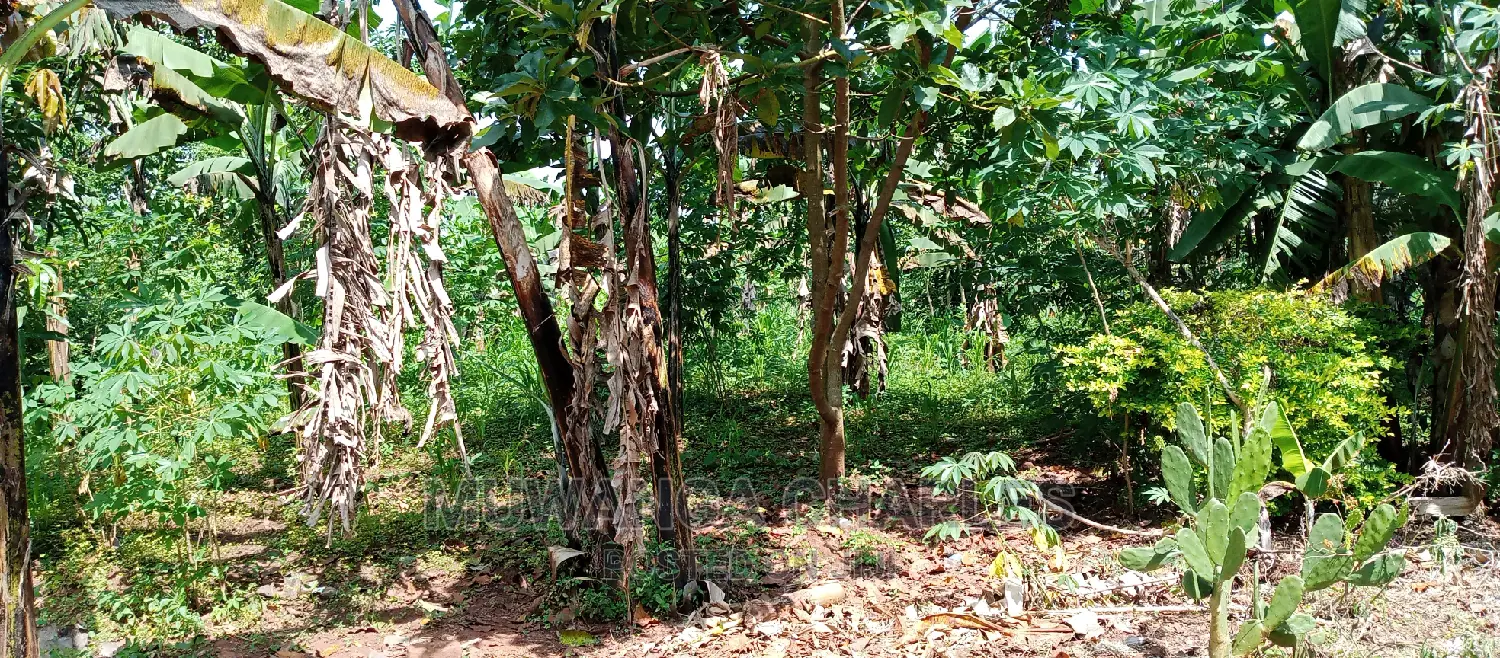 1acre Is of Land Available for Sale in Busika