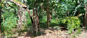 1acre Is of Land Available for Sale in Busika