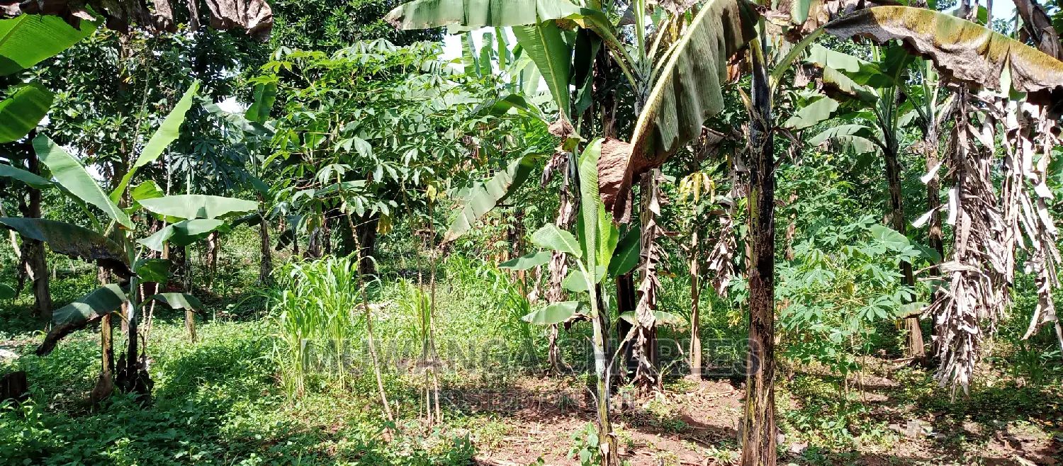 1acre Is of Land Available for Sale in Busika