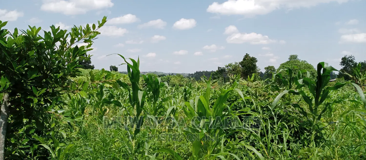 1acre Is of Land Available for Sale in Busika