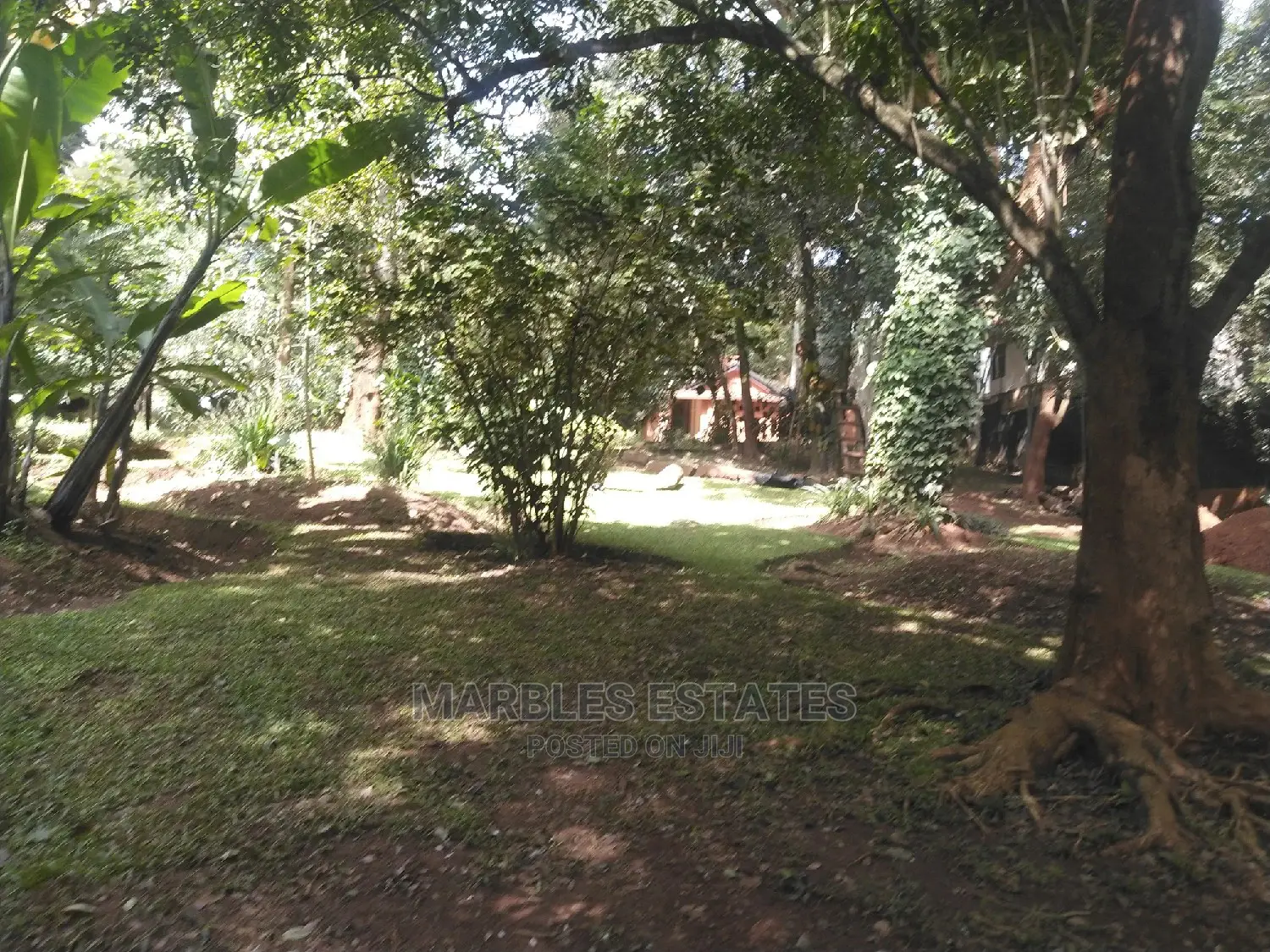 4bdrm Bungalow in Kololo, Kampala for Rent