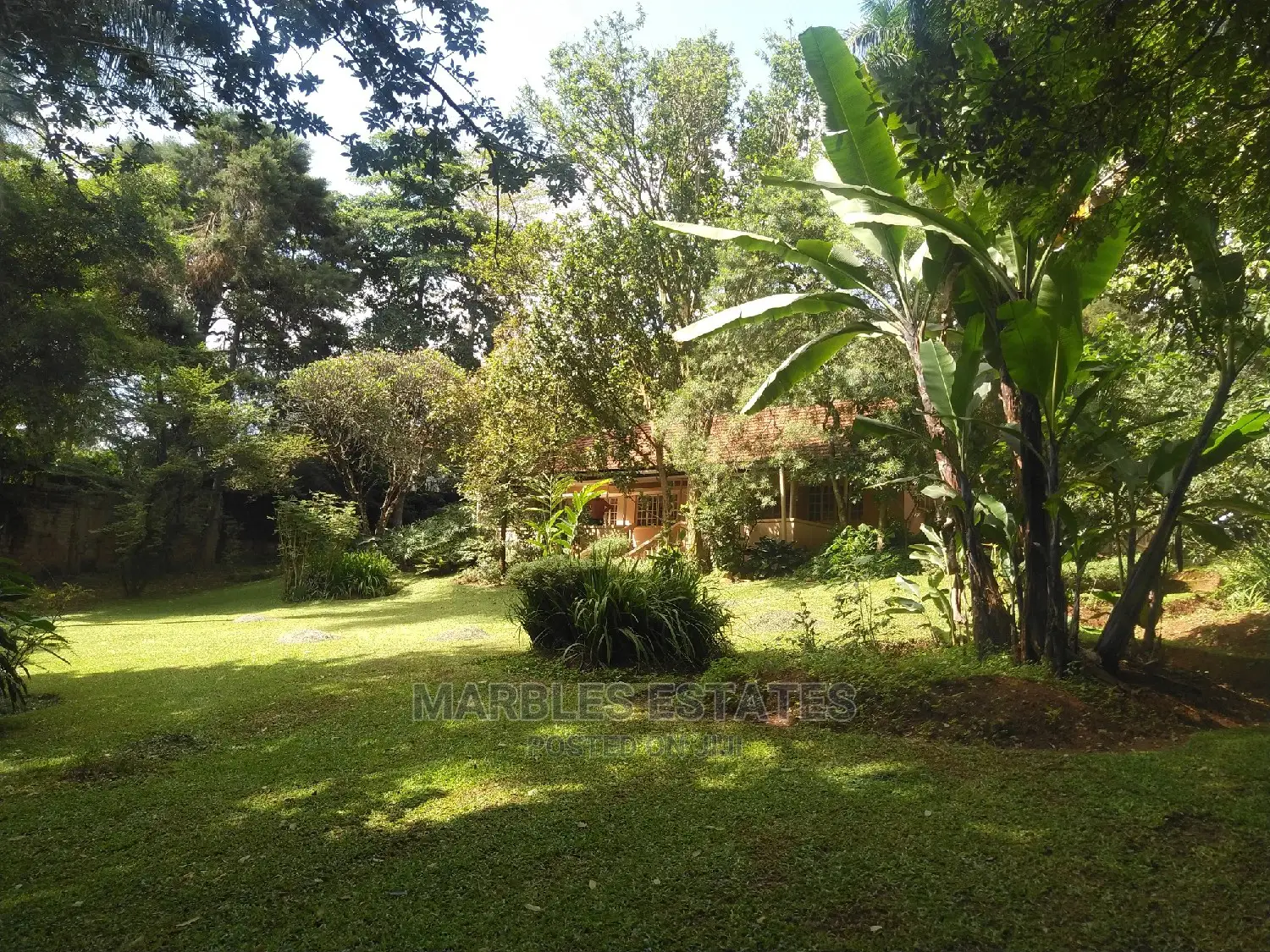 4bdrm Bungalow in Kololo, Kampala for Rent