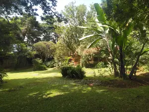 4bdrm Bungalow in Kololo, Kampala for Rent