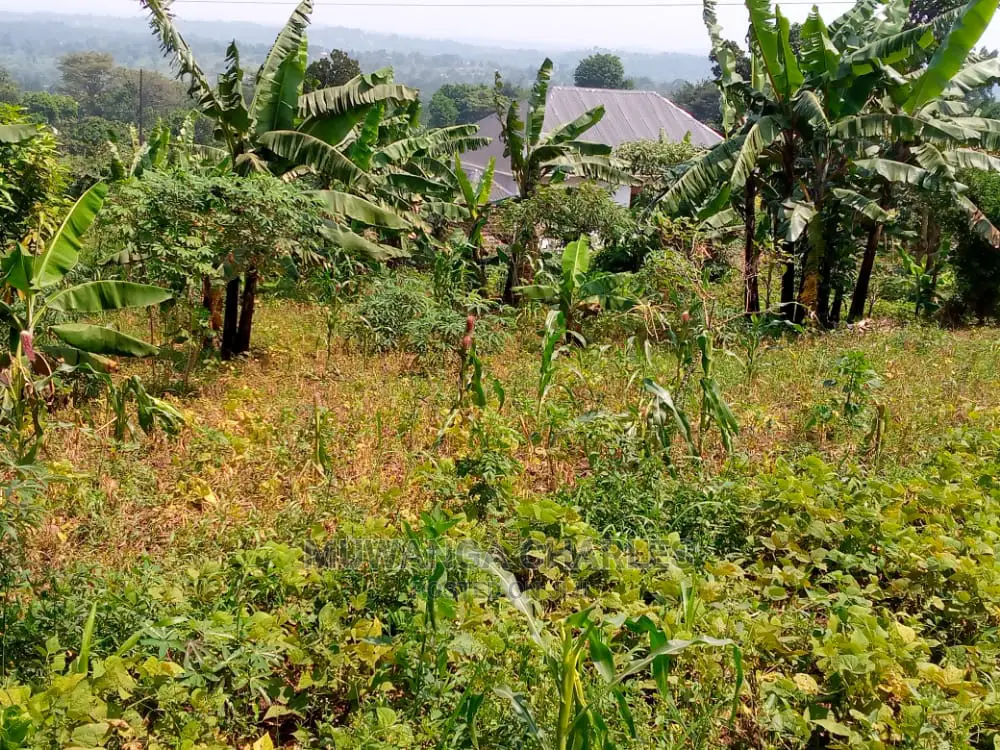 10acres of Is Available for Sale Kikyusa Kamira