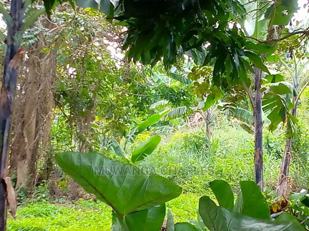 10acres of Is Available for Sale Kikyusa Kamira