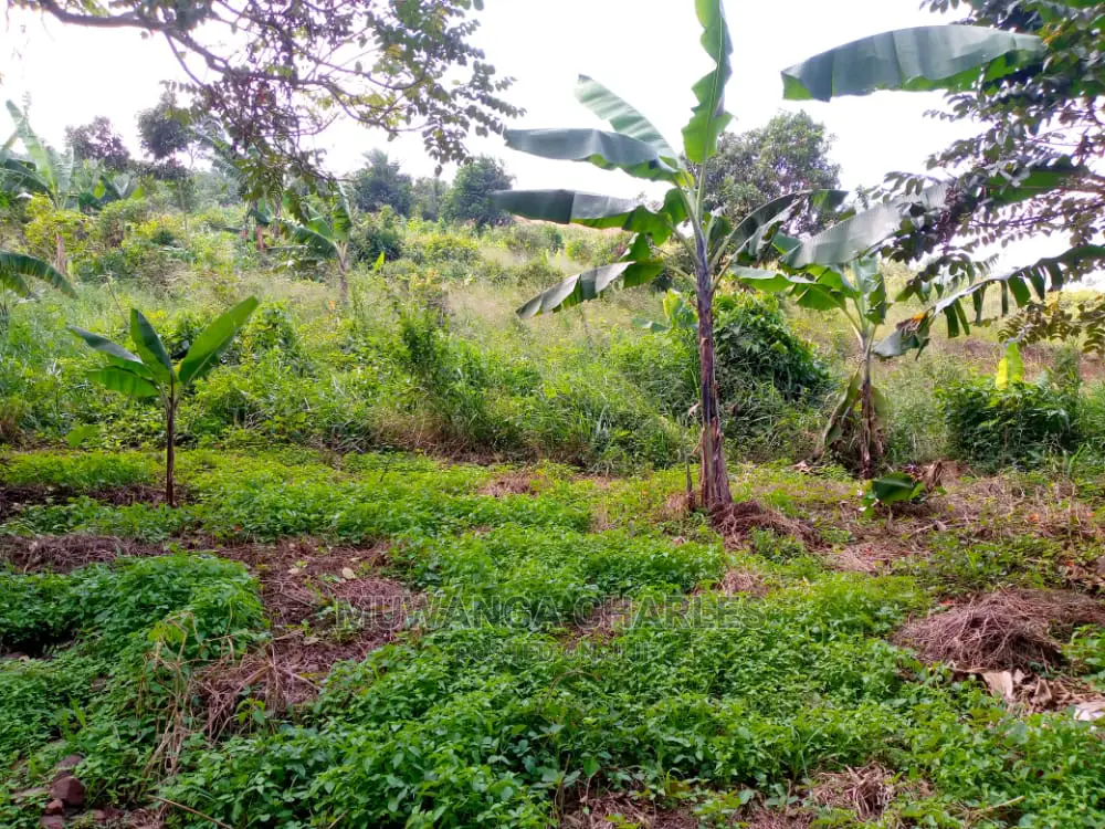 10acres of Is Available for Sale Kikyusa Kamira
