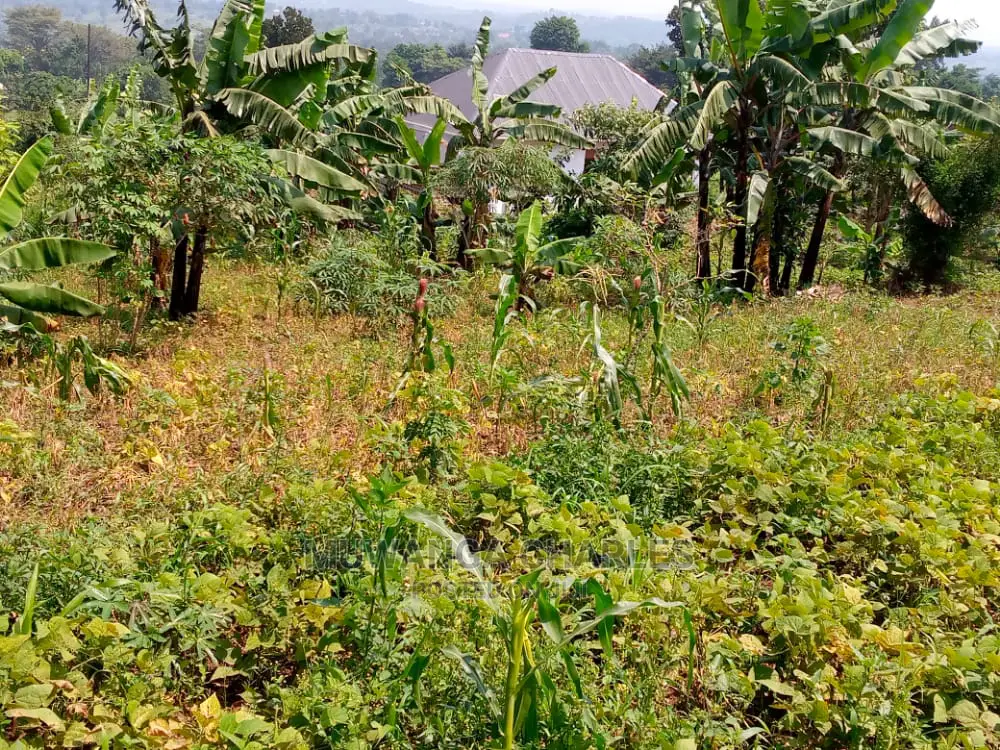 10acres of Is Available for Sale Kikyusa Kamira