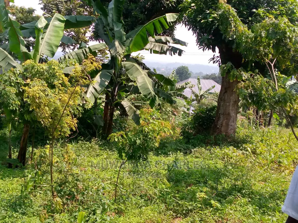 10acres of Is Available for Sale Kikyusa Kamira