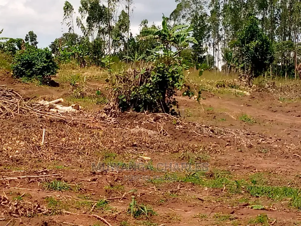 25decimals Is Available for Sale in Buwate