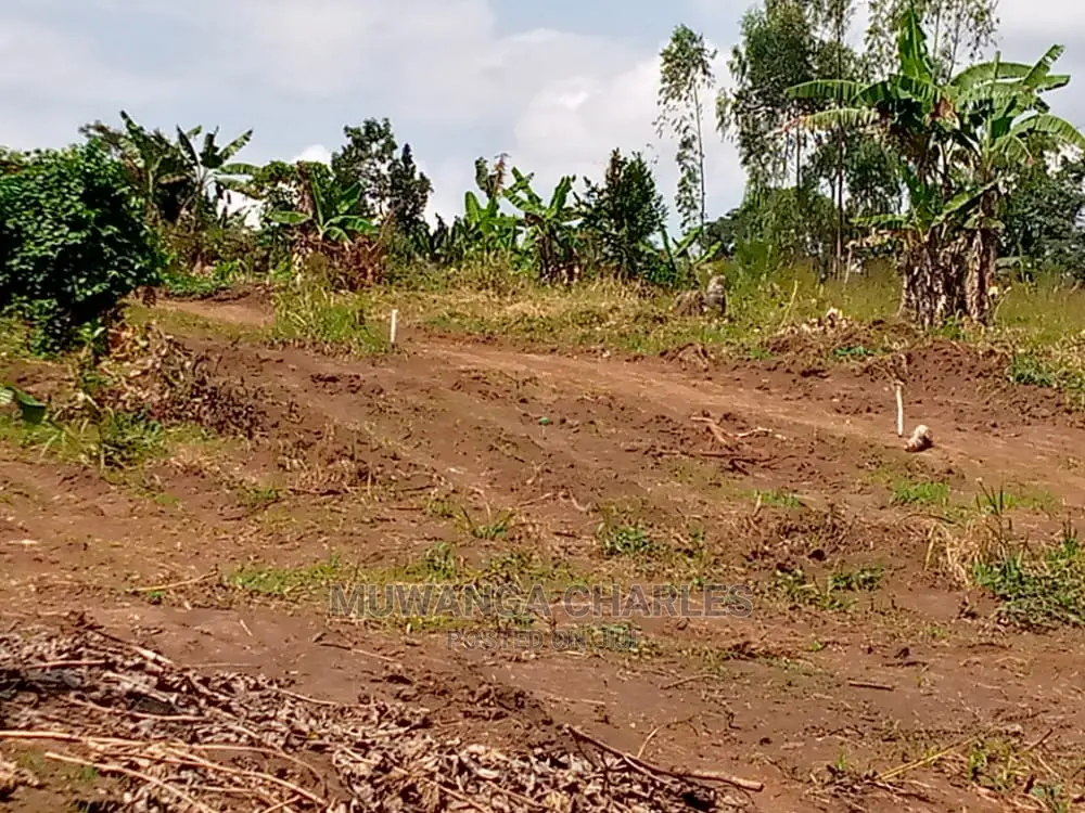 25decimals Is Available for Sale in Buwate