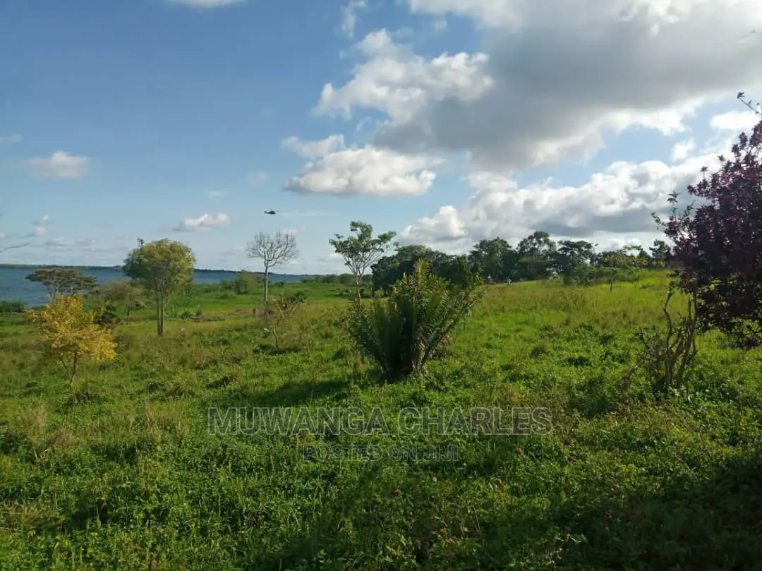 5acres Is Available in Kikyusa WTH for Sale