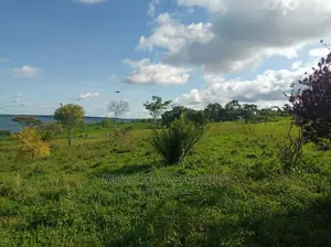 5acres Is Available in Kikyusa WTH for Sale
