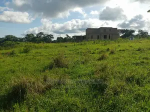 5acres Is Available in Kikyusa WTH for Sale