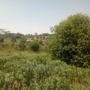 5acres Is Available in Kikyusa WTH for Sale