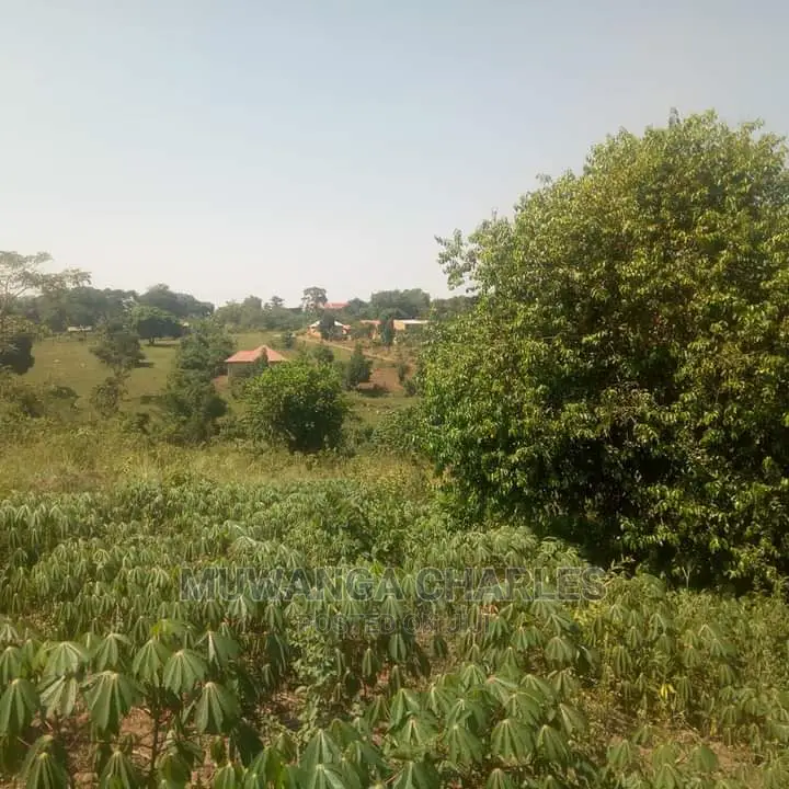 5acres Is Available in Kikyusa WTH for Sale