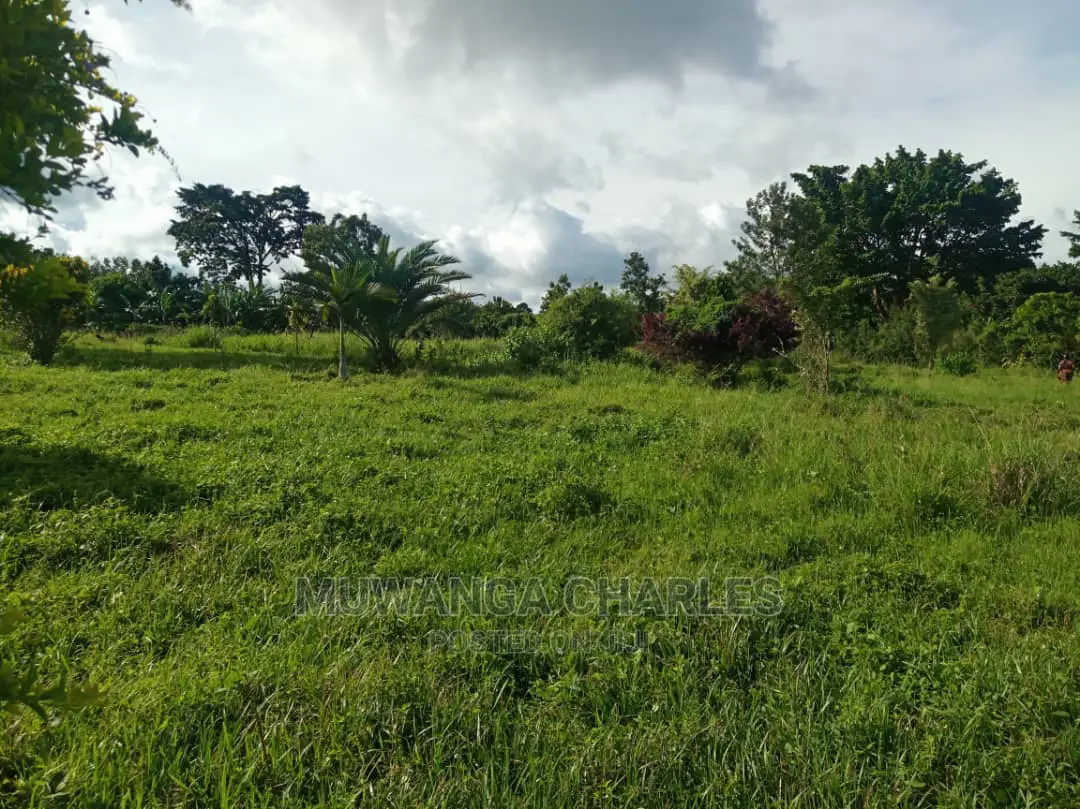 5acres Is Available in Kikyusa WTH for Sale