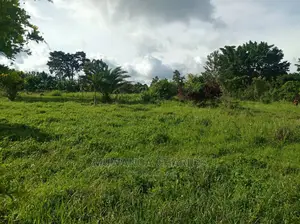 5acres Is Available in Kikyusa WTH for Sale