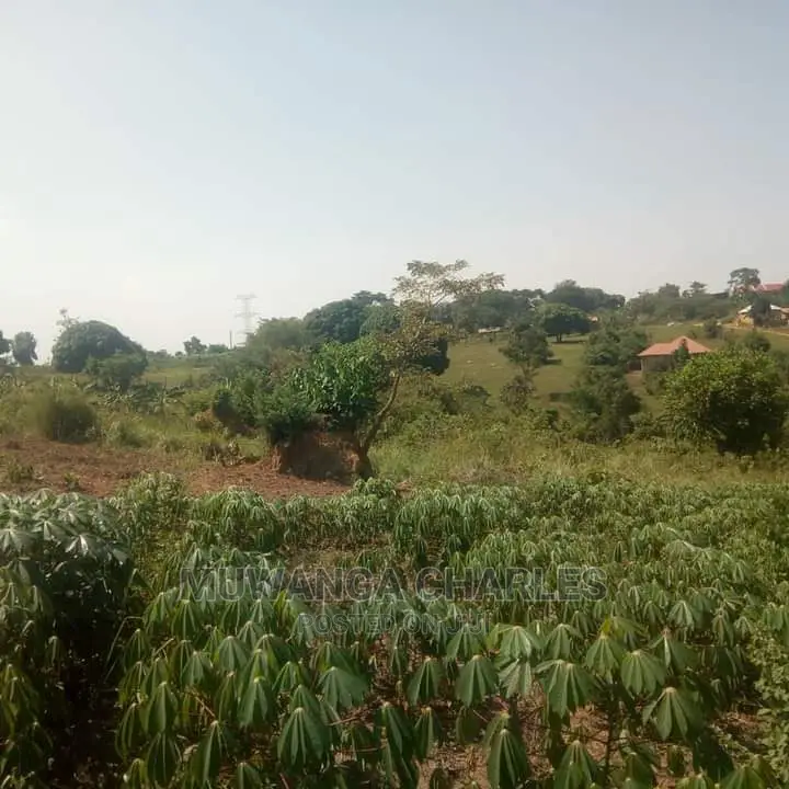 5acres Is Available in Kikyusa WTH for Sale
