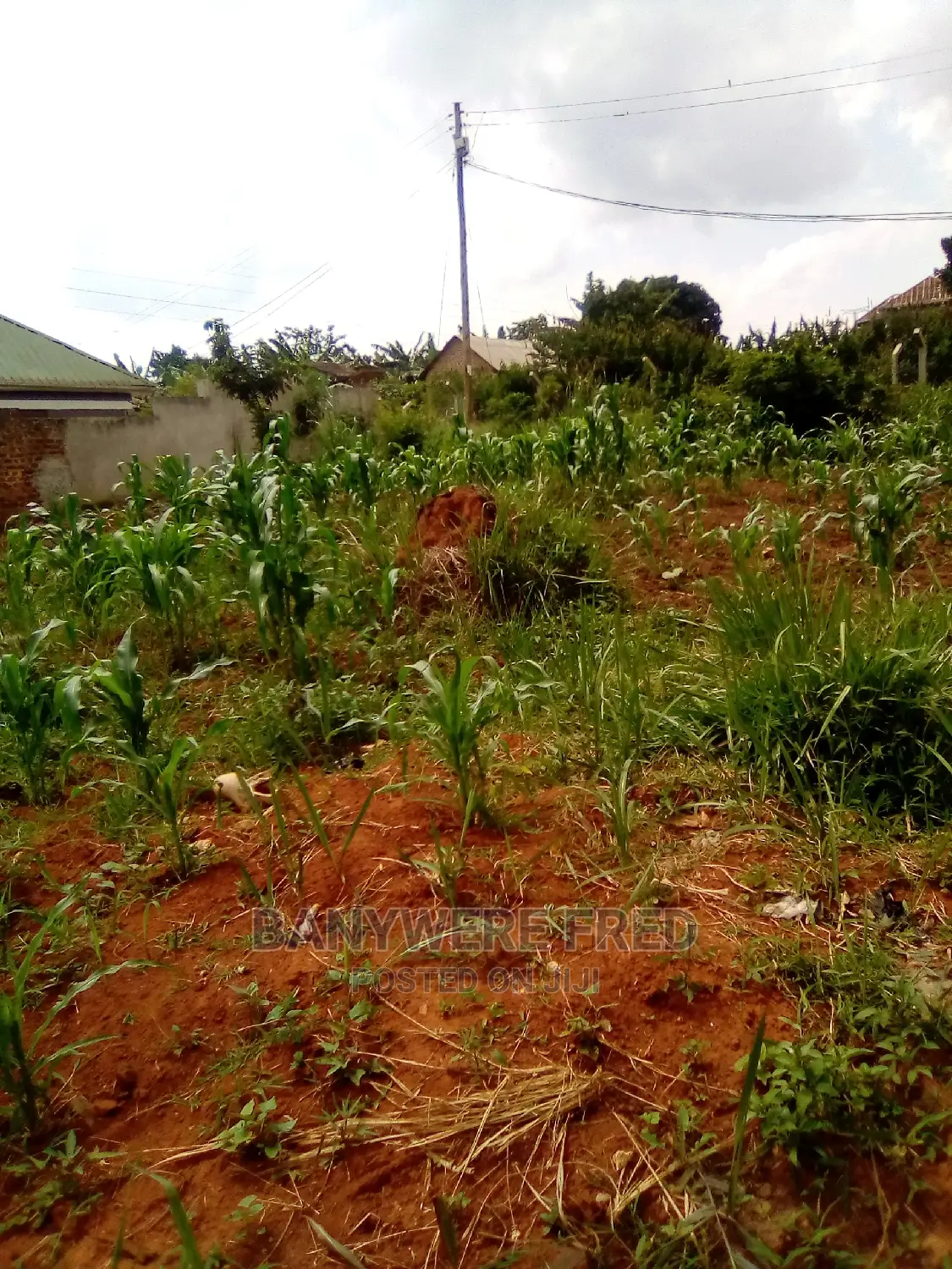 100x50ft Plot on Sale at Senge
