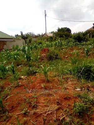 100x50ft Plot on Sale at Senge